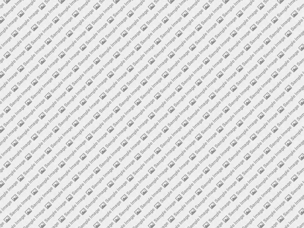 /site/Image%204